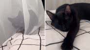 Reprodução / Instagram