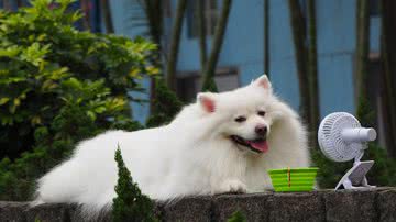 Ilustrativa / Pixabay