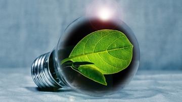 Divulgação / Pixabay