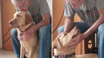 Reprodução / TikTok