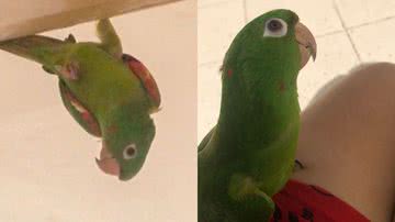 Reprodução/TikTok @maritacafalante01