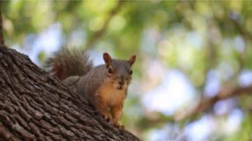 Ilustrativa / Pixabay