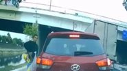 Reprodução/Vídeo