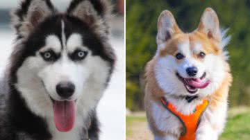 Ilustrativa / Pixabay