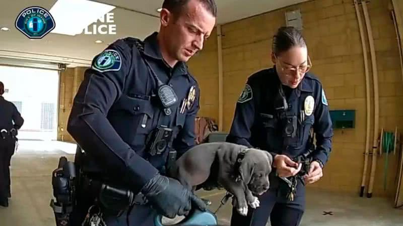 Reprodução /  Irvine Police Department via AP