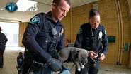 Reprodução /  Irvine Police Department via AP