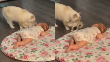 Reprodução / Instagram