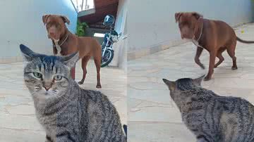 Reprodução / Instagram