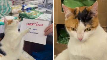 Reprodução / Instagram