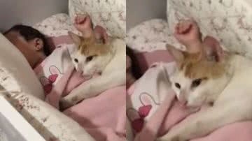 Reprodução / TikTok