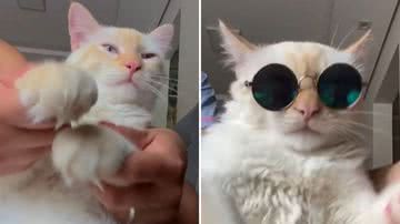 Reprodução / TikTok