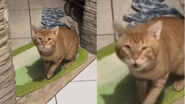 Reprodução / Instagram