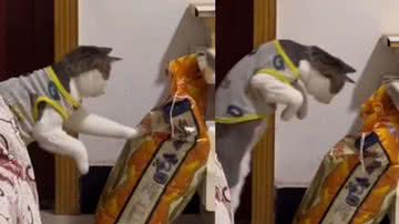 Reprodução / Instagram