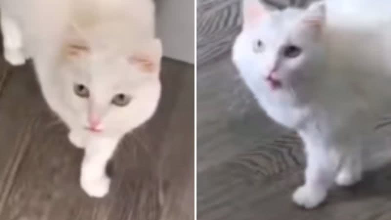 Reprodução / Instagram