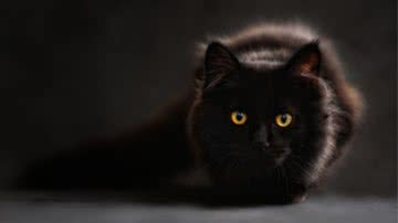 Ilustrativa / Pixabay