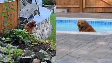 Reprodução / Instagram