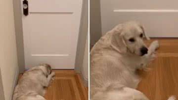 Reprodução / TikTok