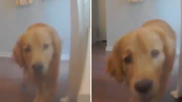 Reprodução / TikTok