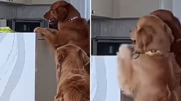 Reprodução / TikTok