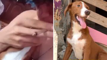 Reprodução / Instagram