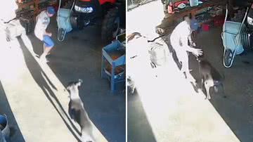 Reprodução / TikTok