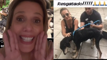 Reprodução / Instagram