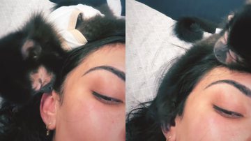 Reprodução/TikTok @macacotbag