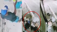 Montagem Bnews/ Arquivo Pessoal