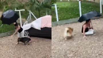 Reprodução/Instagram @santacatarinaemfotosbr