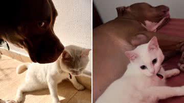 Reprodução / Instagram