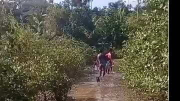 Vídeo