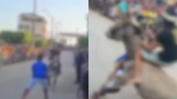 Reprodução/WhatsApp