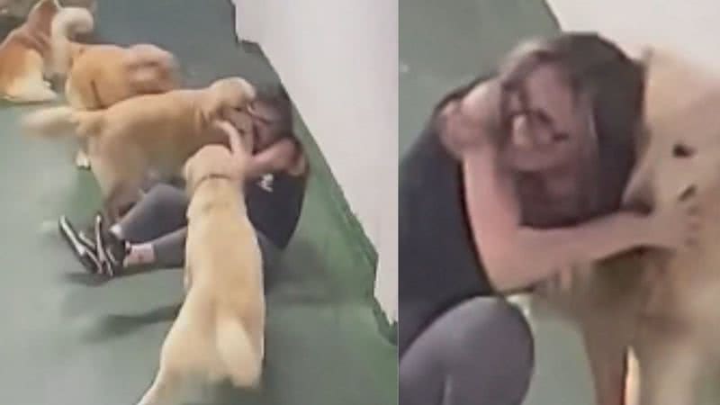 Reprodução / TikTok