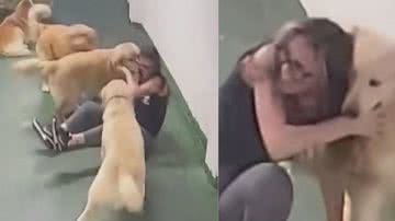 Reprodução / TikTok