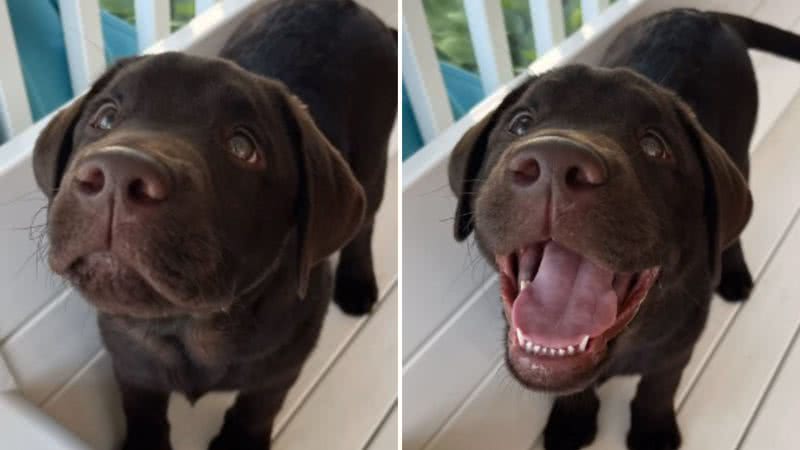 Reprodução / TikTok