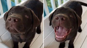 Reprodução / TikTok