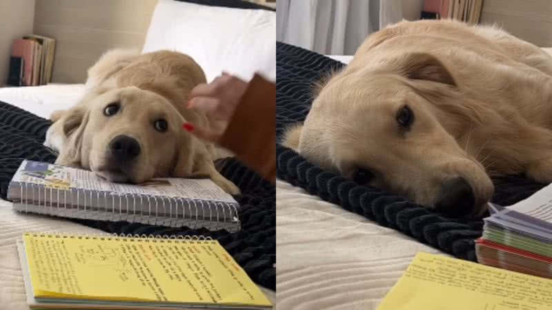 Reprodução / Instagram