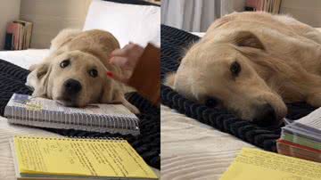 Reprodução / Instagram