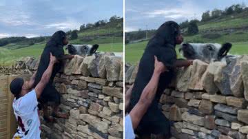 Reprodução / TikTok