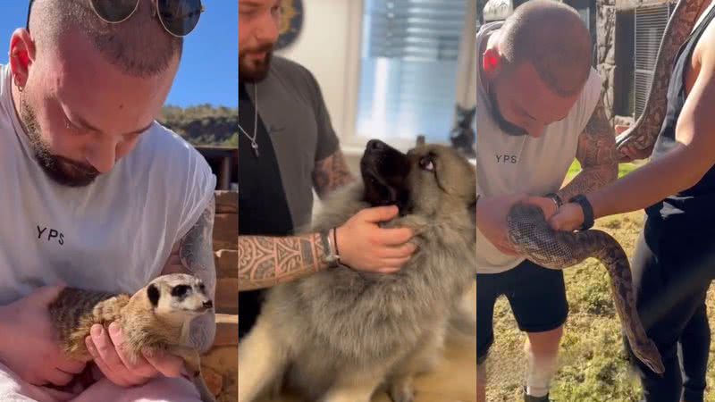 Reprodução/TikTok @boneshandsanimals