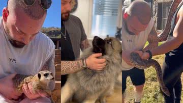 Reprodução/TikTok @boneshandsanimals