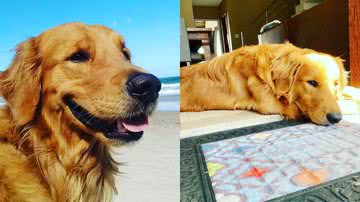 Reprodução/TikTok @meugoldenchurros