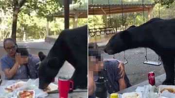 Montagem BNews//Reprodução/Vídeo