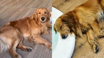 Reprodução/Instagram @meugoldenchurros