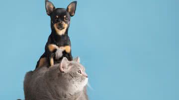 Ilustrativa / FreePik