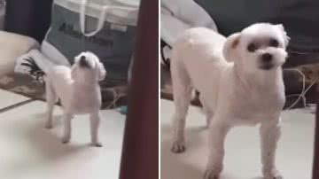 Reprodução / Instagram