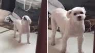 Reprodução / Instagram