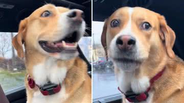 Reprodução / TikTok