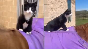 Reprodução / Instagram