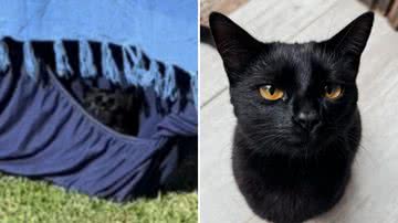 Reprodução / TikTok